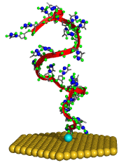 5 Tendências Tecnológicas